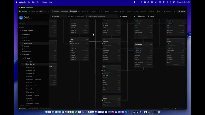pgStudio screenshot 1 (video preview)