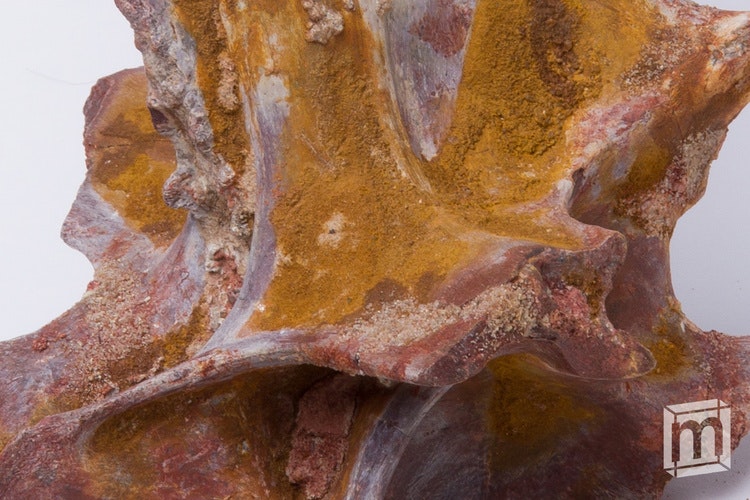 Mini Museum 3 gallery image