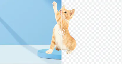 SocialBook Background Remover and Editor gallery image
