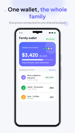 AI Expense Manager & Tracker gallery image