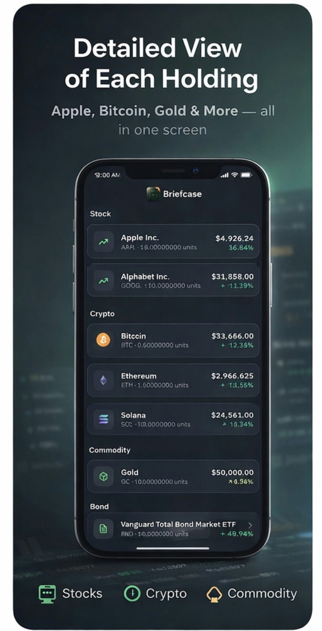 BriefcaseApp - Screenshot 2 showing product features and functionality