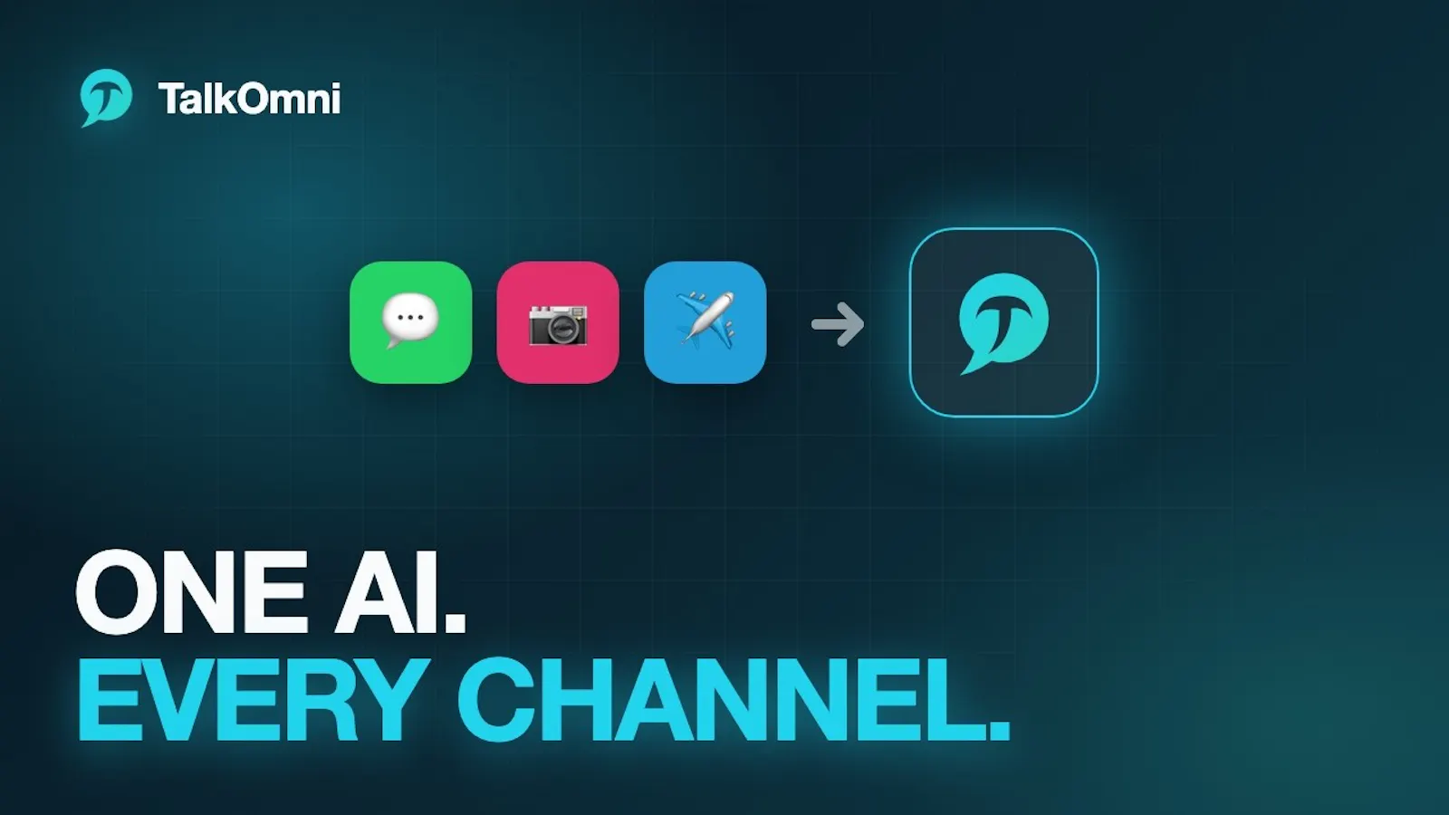 TalkOmni screenshot 1 (video preview)