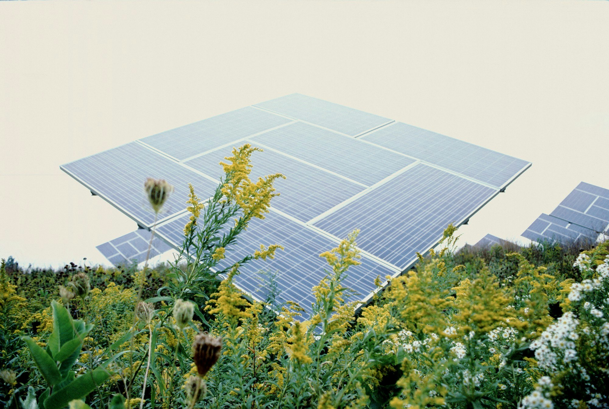 Climate Fest gallery image