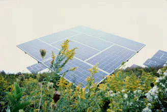 Climate Fest gallery image