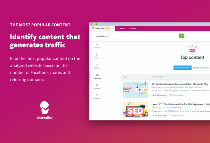SiteProfiler by Mangools Image