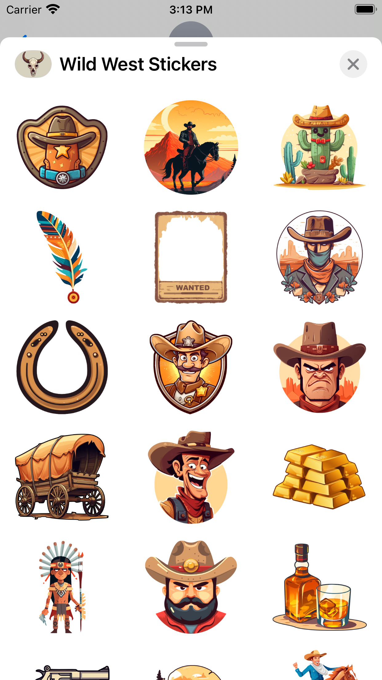 Wild West Stickers gallery image