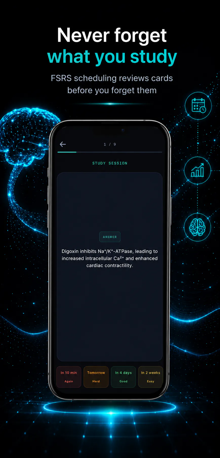 MedBlitz gallery image