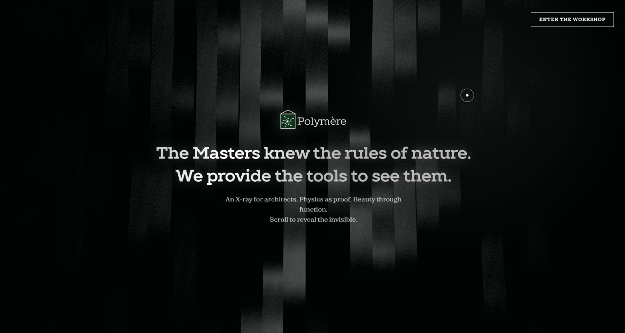 Polymère gallery image