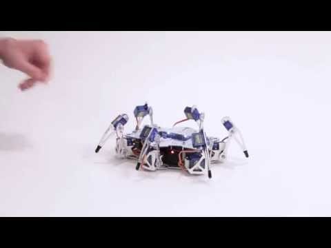 Stemi Hexipod gallery image