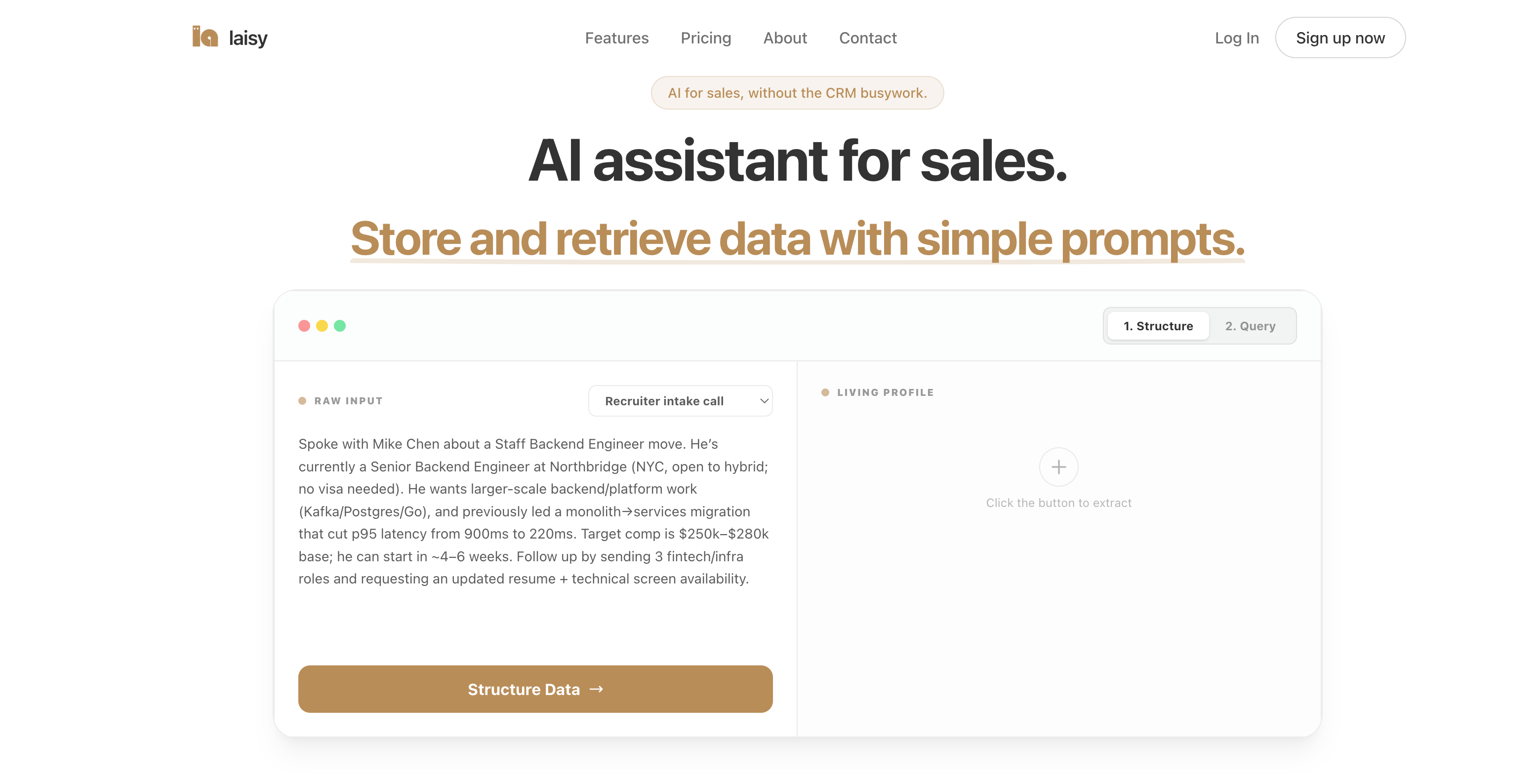 laisy - Your AI Data Assistant - Main product screenshot demonstrating key features and user interface