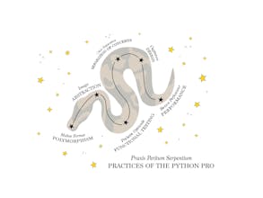 Practices of the Python Pro gallery image