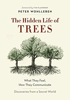 The Hidden Life of Trees gallery image