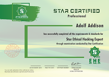 Ethical Hacking Certification Course gallery image