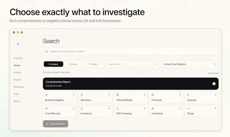 BizRisk AI Analyst screenshot 2