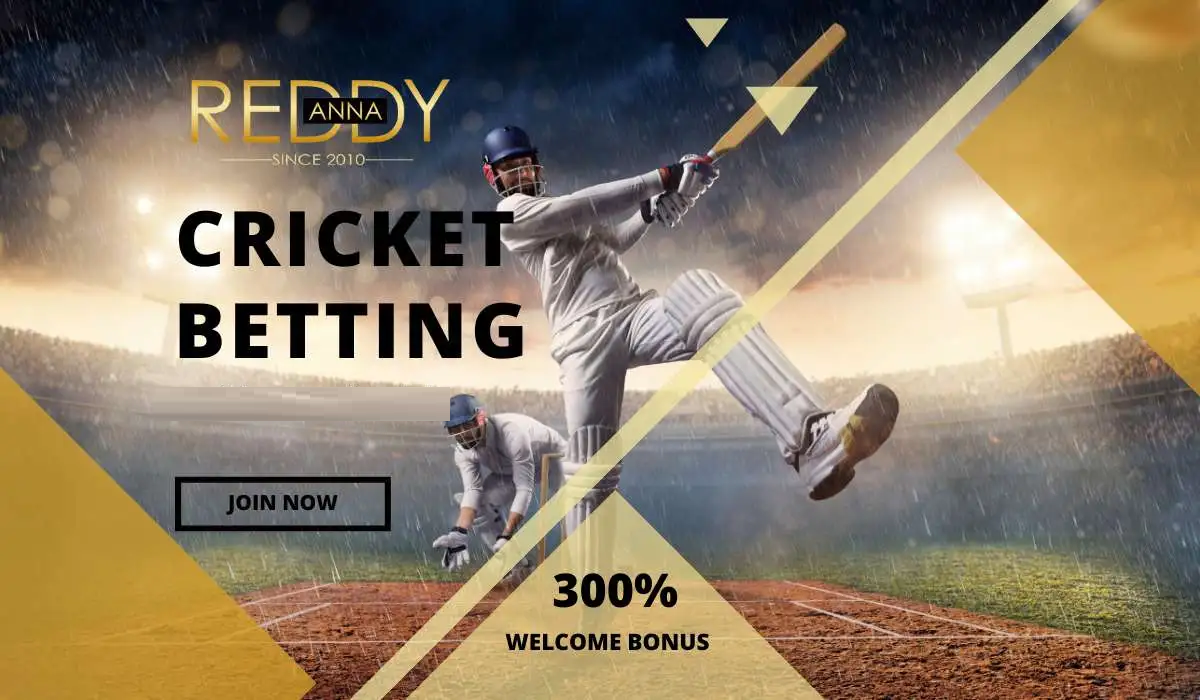 Reddy Cricket ID media 1