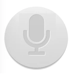 Audio Messages from your visitors