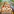 Zoo Typhoon: Animal Park Sim