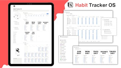 Plug-in Habit Tracker para o Notion - interface de rastreamento de hábitos visualmente organizada