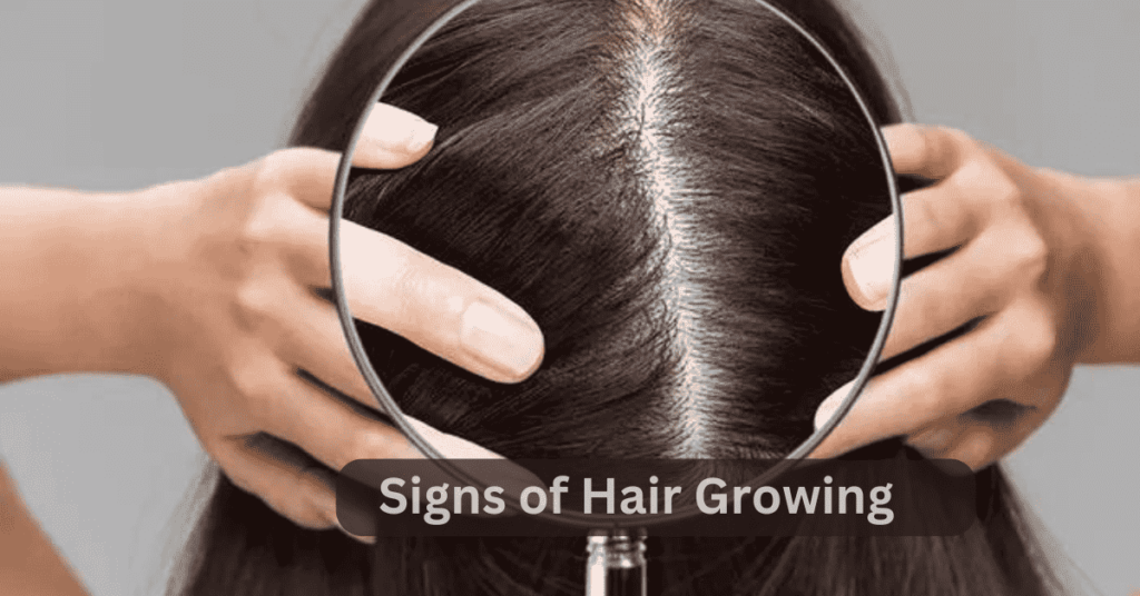Afferra i capelli velocemente naturalmente a casa media 1