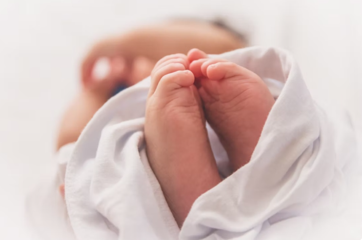 Echo4ever gallery image