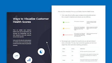 The Full Guide to Customer Health Scores gallery image