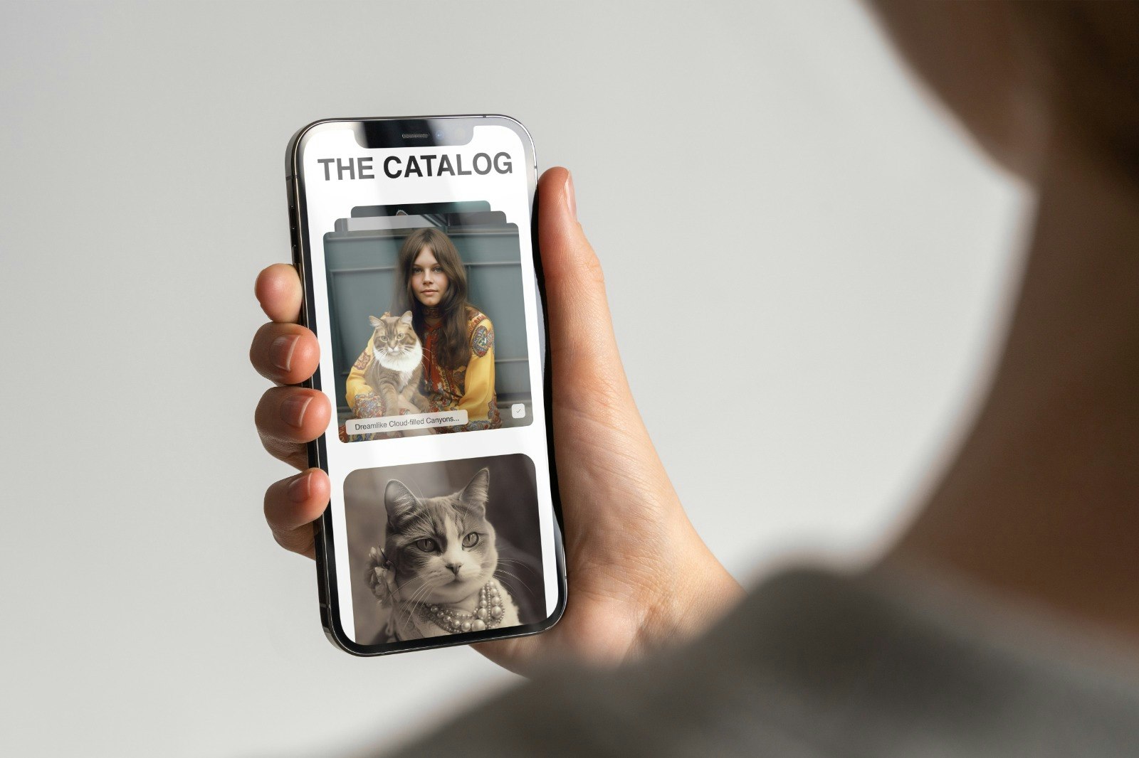 Le catalogue media 1
