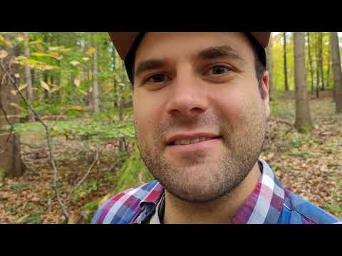 swuupy gallery image