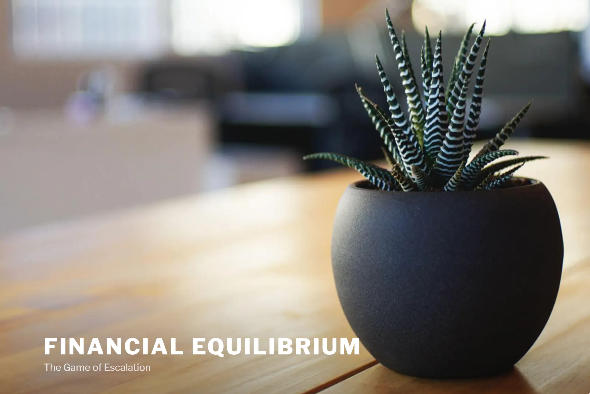 Financial Equilibrium 