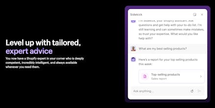 Shopify Sidekick gallery image