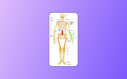 Bone Health Tracker media 3