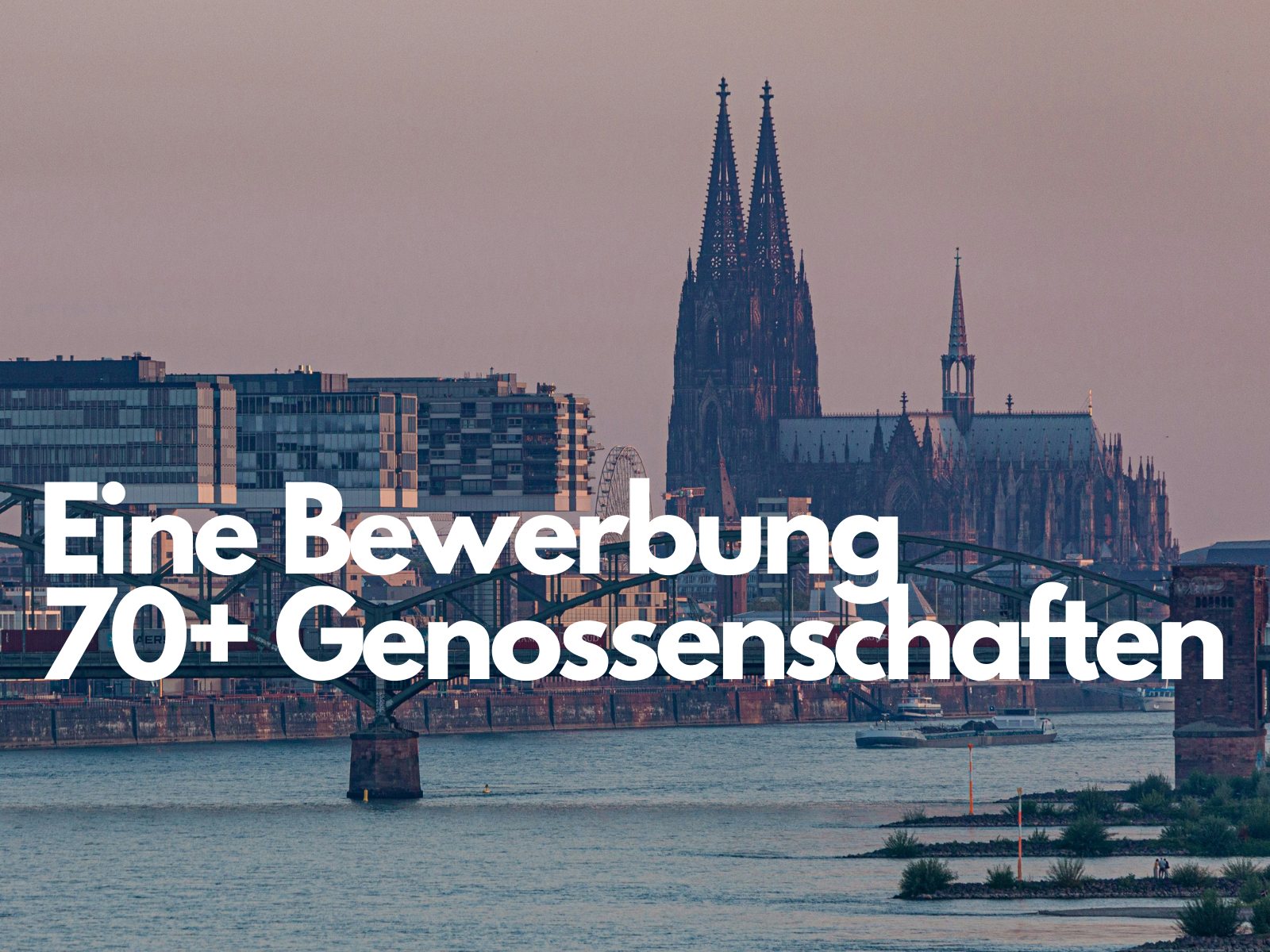 GenossenschaftenKöln - Main product screenshot demonstrating key features and user interface