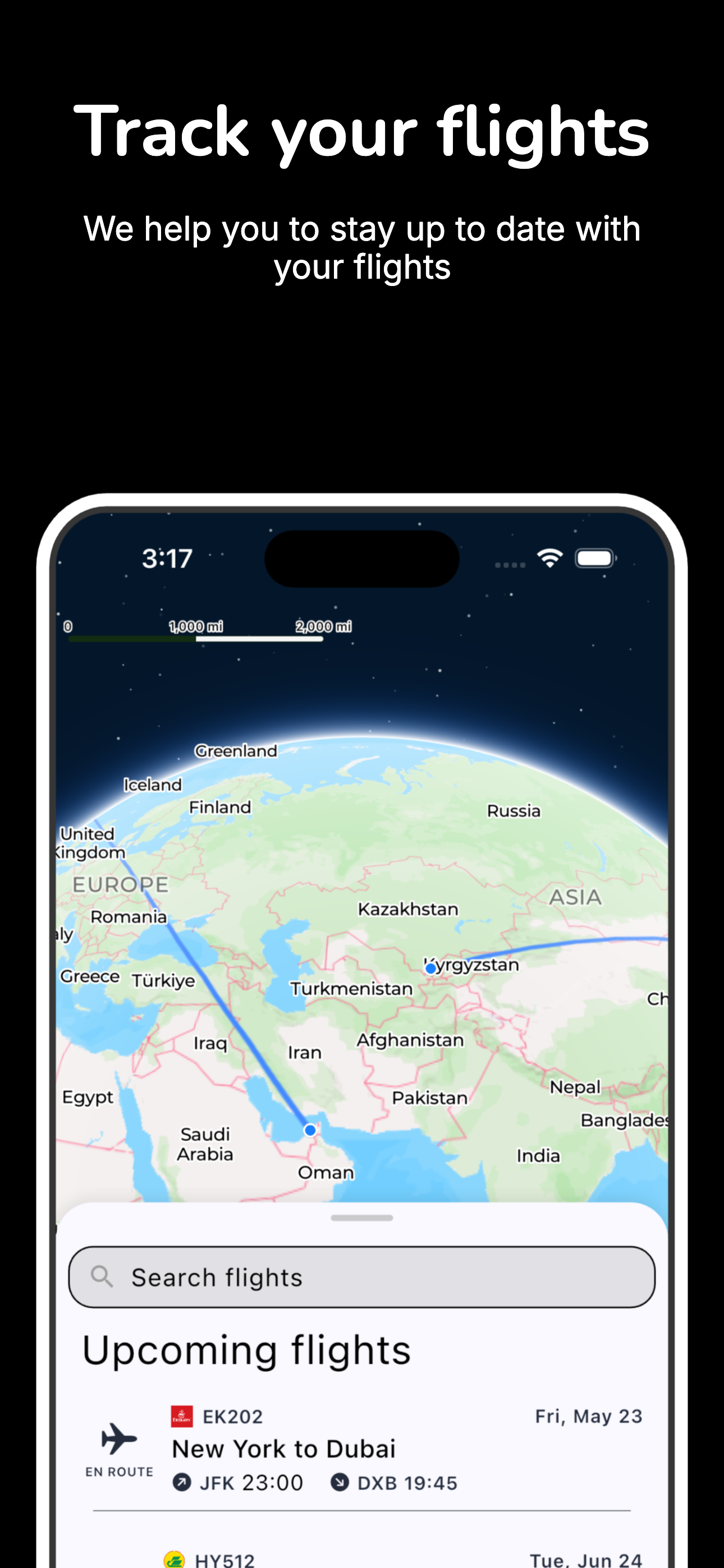 2Flights gallery image