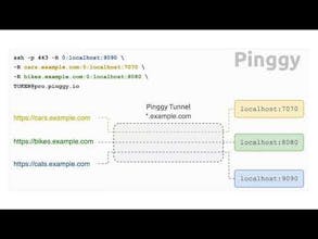 Pinggy Multi Port Forwarding gallery image