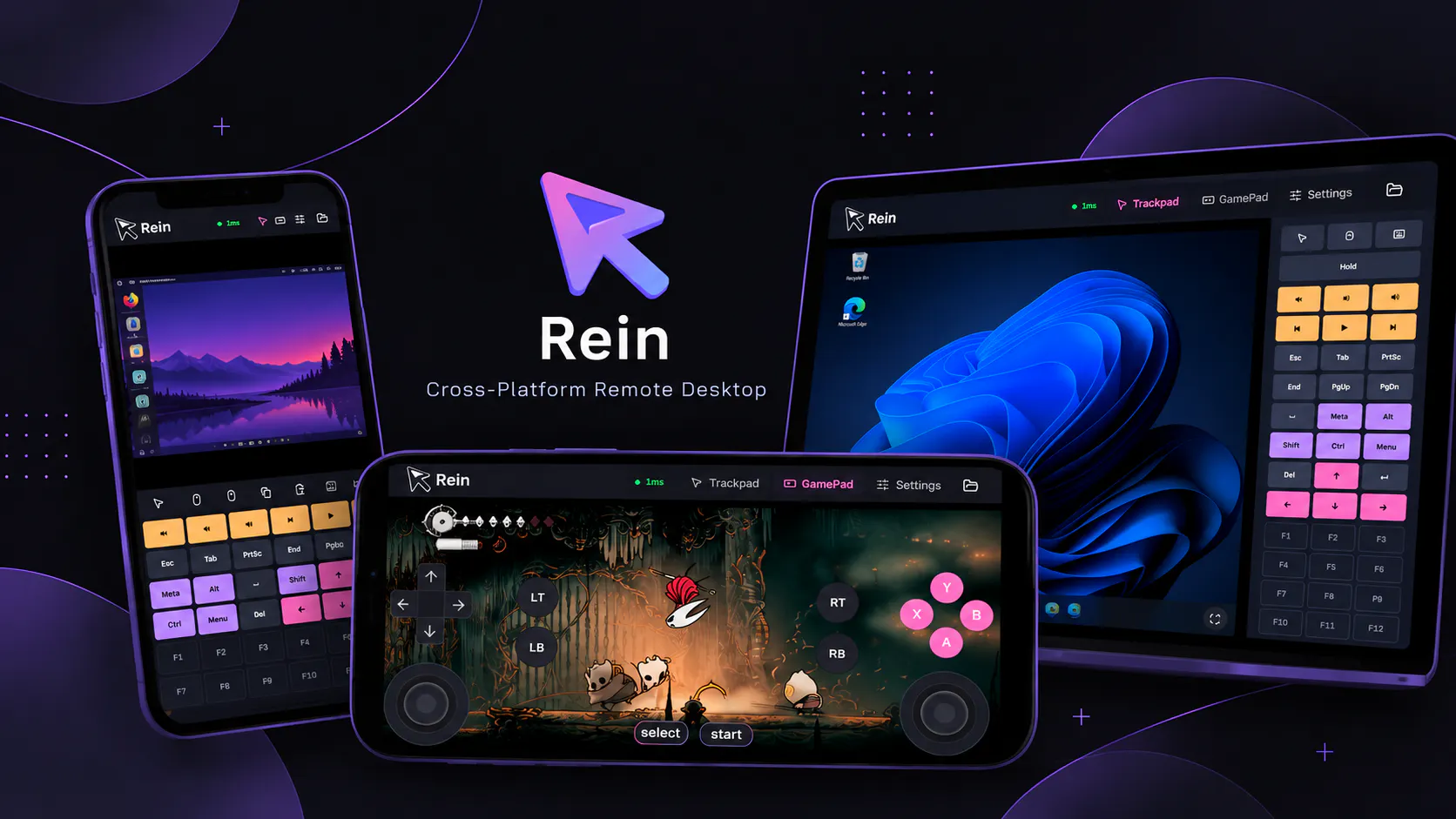 Rein gallery image