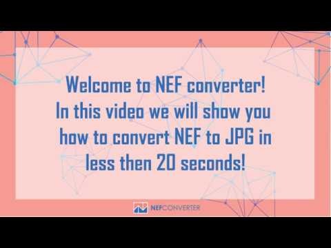 NEF converter gallery image