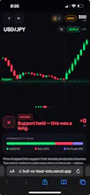 Bull vs Bear gallery image