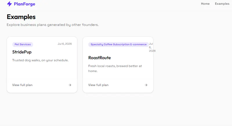 Buisness Plan generator screenshot 2