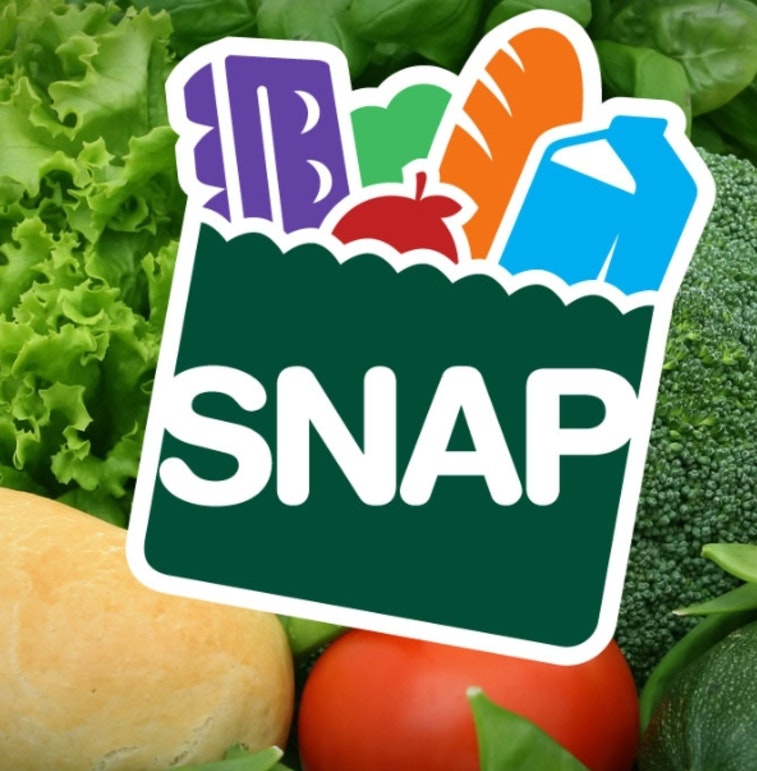 San FoodStamp$1000CashRelifActiveNow2026 - Main product screenshot demonstrating key features and user interface