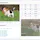 Responsive Image Breakpoints Generator