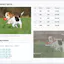 Responsive Image Breakpoints Generator