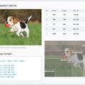 Responsive Image Breakpoints Generator