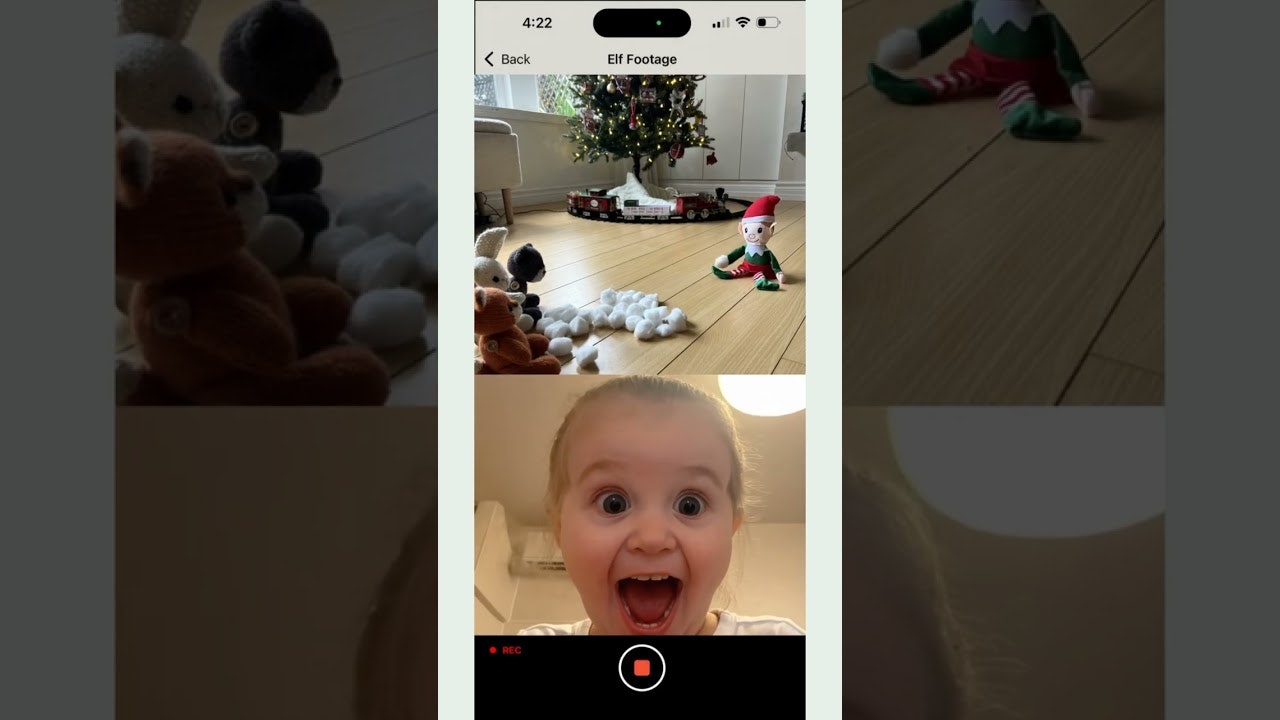 Elf Alert gallery image