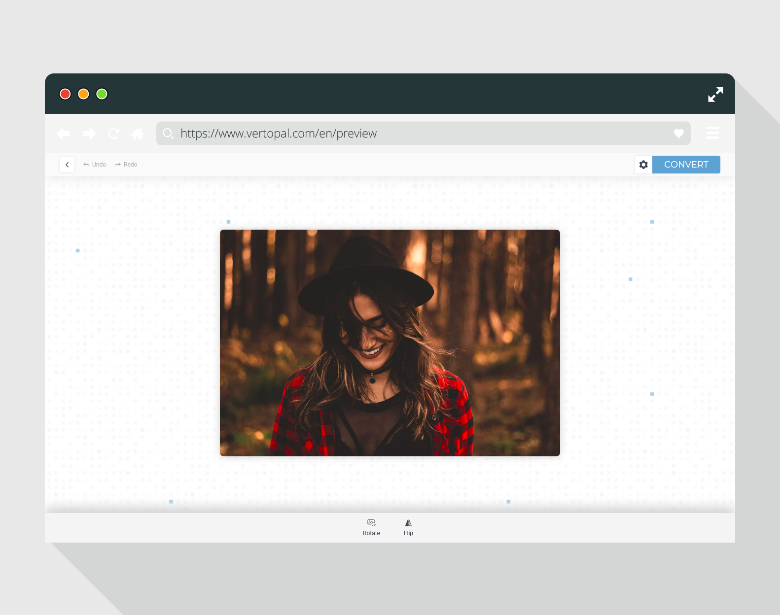 Vertopal gallery image