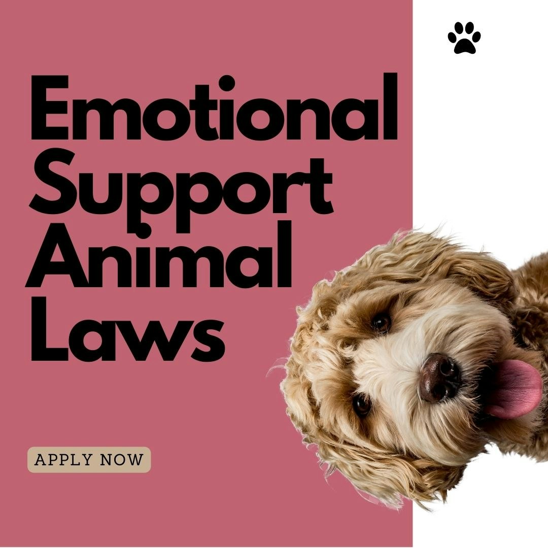 Emotional Support Animal Laws - Product Information, Latest Updates, and  Reviews 2023 | Product Hunt