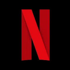 Netflix Secret Codes