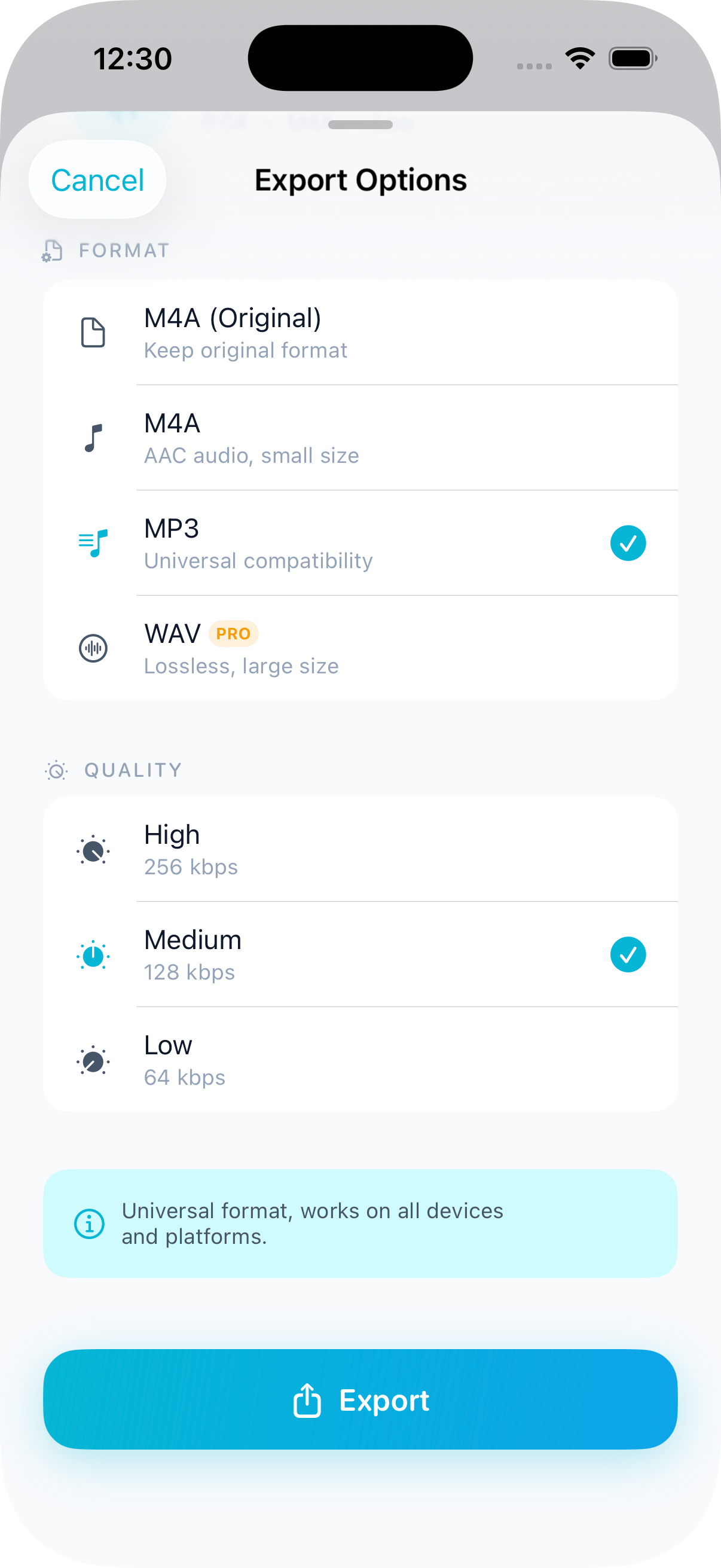 ClearRecord : Voice and Audio Recorder gallery image