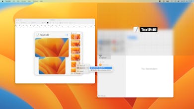 Lasso - window manager for macOS gallery image