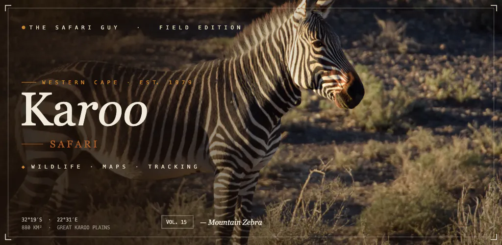 The Safari Guy gallery image