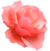 MayLoveDo