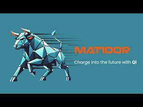 Matidor Qi gallery image